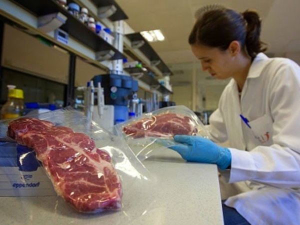 Calidad y conservación de productos carnicos.
